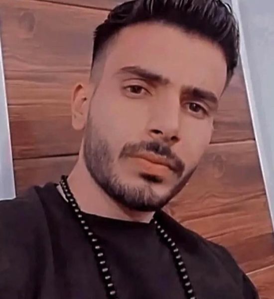 پرونده:حمید میرلوحی.jpg