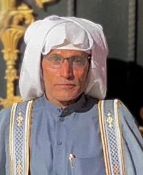 پرونده:ناجی سواری.jpg