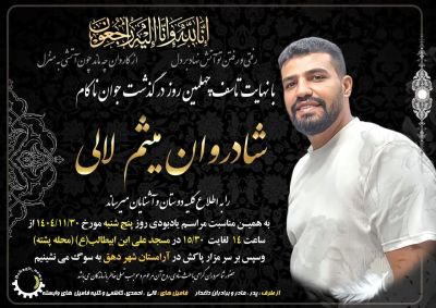 میثم لالی ۲.jpg