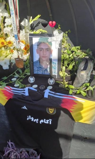 امیرمحمد لطفی 2.jpg