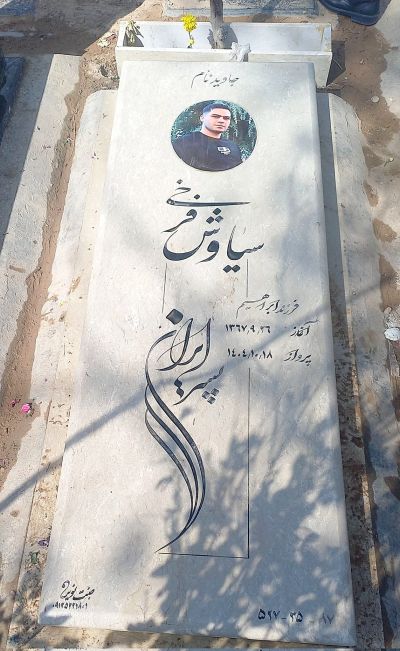 سیاوش فرخی 3.jpg