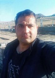 رضا اخوان