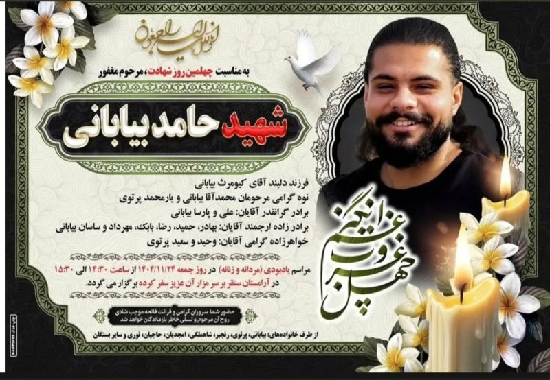 پرونده:حامد بیابانی 2.jpg